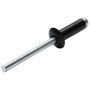 ALLSTAR PERFORMANCE ALL18003 Sm Hd Rivet Black 250pk