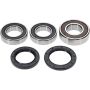 Pivot Works 25-1712-P BMW Wheel Bearing Kit Premium Bearings