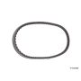 CONTITECH 13X818 Import Automotive V-Belt
