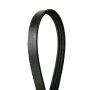 CONTITECH 4030342 Multi-V Belt