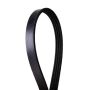 CONTITECH 4040362S Multi-V Stretch Belt