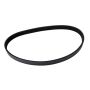 CONTITECH 4050448 Multi-V Belt