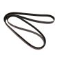 CONTITECH 4060785 Multi-V Belt