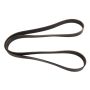 CONTITECH 4080652 Multi-V Belt