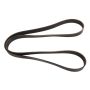 CONTITECH 4080652 Multi-V Belt