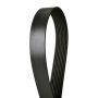CONTITECH 4081265F Multi-V Flexten Reinforced Belt