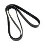 CONTITECH 4100642F Multi-V Reinforced Belt