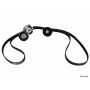 CONTITECH ADK0014P Accessory Drive Belt Import Kit