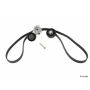 CONTITECH ADK0022P Accessory Drive Belt Import Kit