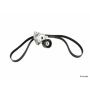 CONTITECH ADK0026P Accessory Drive Belt Import Kit