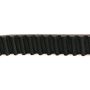 CONTITECH CT1215 Timing Belt