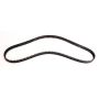 CONTITECH CT1215 Timing Belt