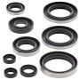 Vertex Pistons 822296 Vertex Gaskets 95-06 Kawasaki KDX200 Oil Seal Kit