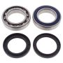 All Balls Racing 14-1065 2021 Arctic Cat Blast 4000 Drive Shaft Bearing & Seal Kit Lower Shaft - Track