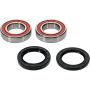 Pivot Works 25-1733-P Odes Wheel Bearing Kit Premium Bearings