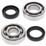 All Balls Racing 24-1073 76-81 Yamaha YZ100 Crank Shaft Bearing Kit