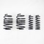 RS-R T232D 2023+ Lexus RX350 AWD Down Sus Springs
