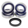All Balls Racing 25-1707 04-06 Ducati 749 Wheel Bearing Kit Rear