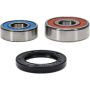 Pivot Works 25-1207-P Honda Wheel Bearing Kit Premium Bearings