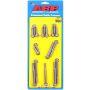 ARP ARP490-1501 Pontiac S/S Timing Cover Bolt Kit 12pt.