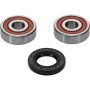 Pivot Works 25-1161-P Yamaha Wheel Bearing Kit Premium Bearings