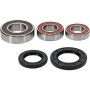 Pivot Works 25-1634-P Suzuki Wheel Bearing Kit Premium Bearings