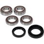 Pivot Works 25-1036-P Honda Wheel Bearing Kit Premium Bearings