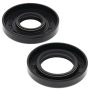 Vertex Pistons 55128 Vertex Gaskets 73-75 Ski-Doo Olympique 340/340 E Oil Seal Kit