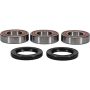 Pivot Works 25-1101-P KTM Wheel Bearing Kit Premium Bearings