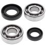 All Balls Racing 24-1067 03-06 Kawasaki KFX50 Crank Shaft Bearing Kit