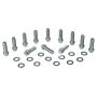 MOROSO MOR38420 Bb Chevy Intake Bolts