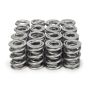 PAC RACING SPRINGS PACPAC-1344-16 1.570 Dual Valve Springs 1300 Series C/T