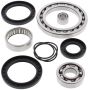 All Balls Racing 25-2045 02-08 Yamaha YFM660 Grizzly Differential Bearing & Seal Kit Rear