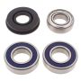 All Balls Racing 14-1018 2006 Ski-Doo Freestyle 300F Drive Shaft Bearing & Seal Kit Lower Shaft - Track