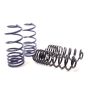 H&R 93-94 Volkswagen Passat Wagon VR6 Sport Spring