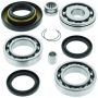 QuadBoss 413389 95-01 Honda TRX400FW FourTrax Foreman 4x4 (02) Rear Differential Bearing &C551 Seal Kit