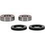 Pivot Works 25-1395-P Wheel Bearing Kit