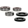 Pivot Works 25-1586-P Aprilia, Triumph Wheel Bearing Kit Premium Bearings