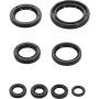 Vertex Pistons 822996 Vertex Gaskets 18-23 Honda CRF250R Oil Seal Kit