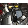 AEM 22-435P AEM Short Ram Intake System
