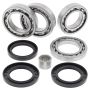All Balls Racing 25-2101 18-19 Arctic Cat Wildcat X EPS Differential Bearing & Seal Kit Rear