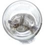 Philips 73CP Philips Standard Miniature 73 Pack of 10