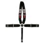 Cam Lock 5 Point Wrap Around Pull Up Adj Black
