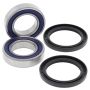 All Balls Racing 25-1495 03-07 Can-Am Rally 175 Wheel Bearing Kit Rear