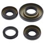 All Balls Racing 25-2006-5 02-03 Honda TRX400FW Fourtrax Foreman 4x4 Differential Seal Only Kit Front