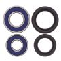 All Balls Racing 25-1083 Wheel Bearing Kits