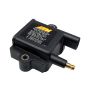 AEM 30-2852 Universal High Output Inductive Dumb Coil
