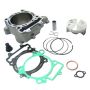 Athena P400250100009 Std Bore Cylinder Kits