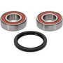 Pivot Works 25-1417-P Gas-Gas, Husqvarna Wheel Bearing Kit Premium Bearings