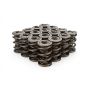 PAC RACING SPRINGS PACPAC-1258-16 1.645 Triple Valve Springs - (16)